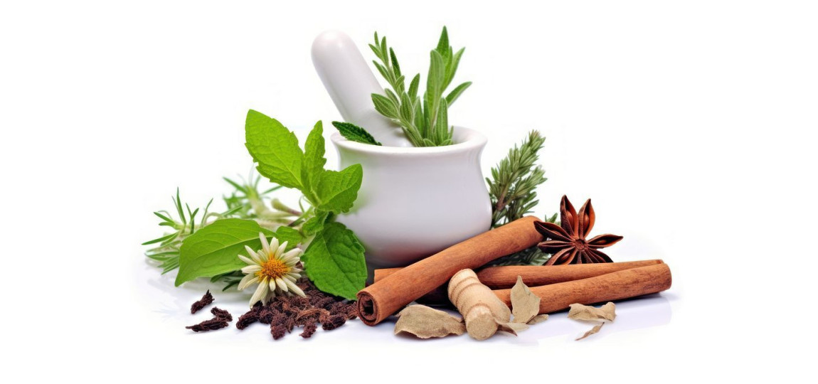 Herbal Remedies in Pakistan – Natural Healing with Hafiz Pansar
